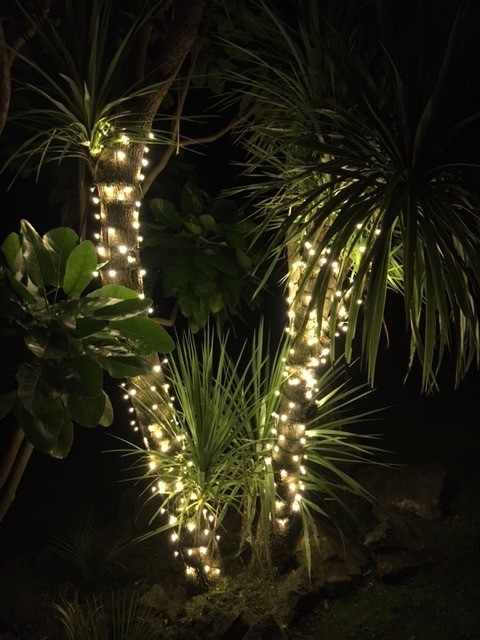 Outdoor fairy lights