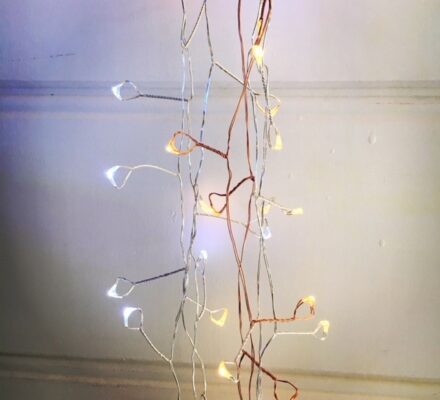 Firecracker SEED Lights – Copper Or Silver Wire 5M BATTERY
