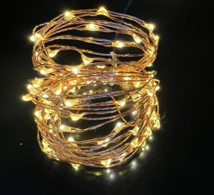 10M Gold Seed Light On Copper – USB