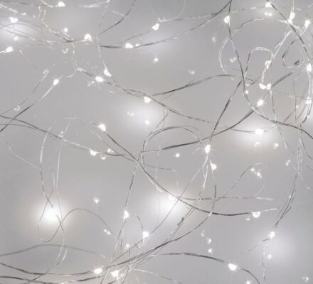 SEED Lights Silver Wire 10M Plug In