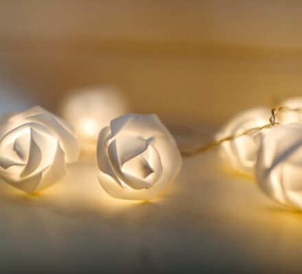 Rose Fairy Lights, Battery