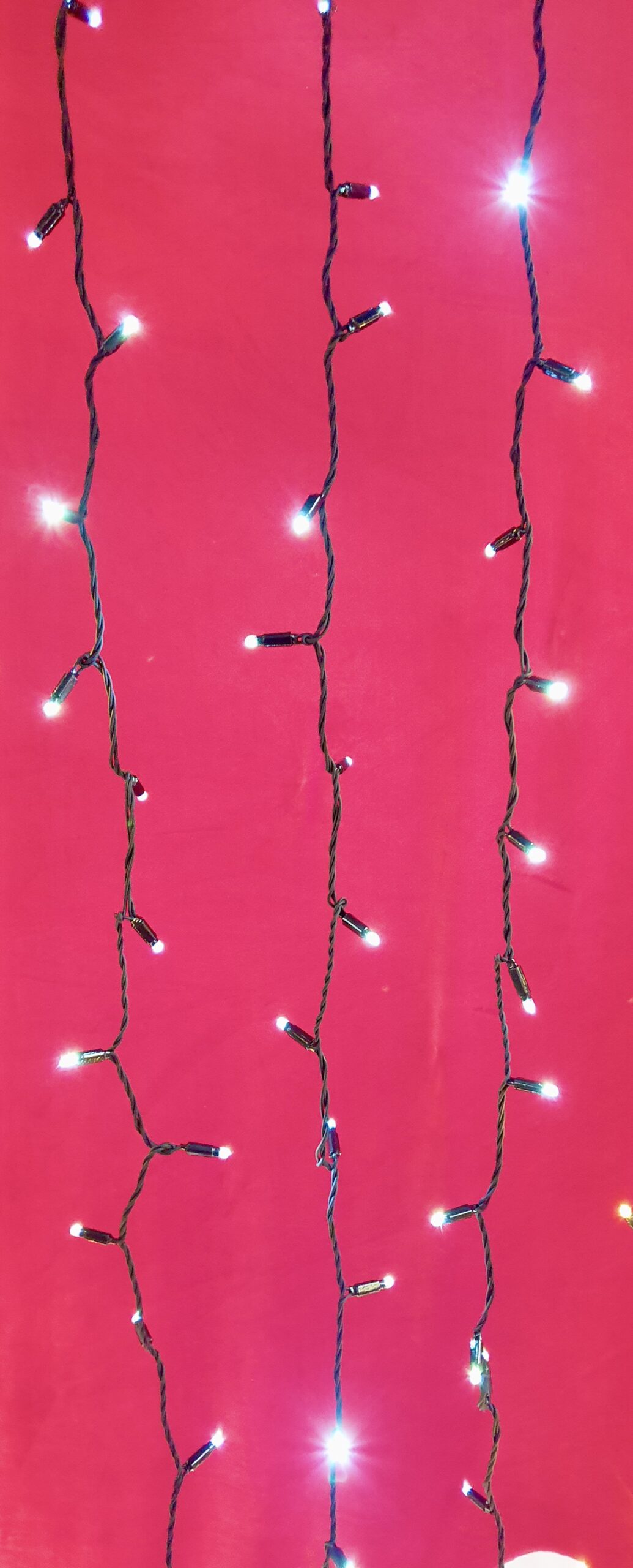 CURTAIN Lights on clear or black wire - 1M x 5M - Image 4