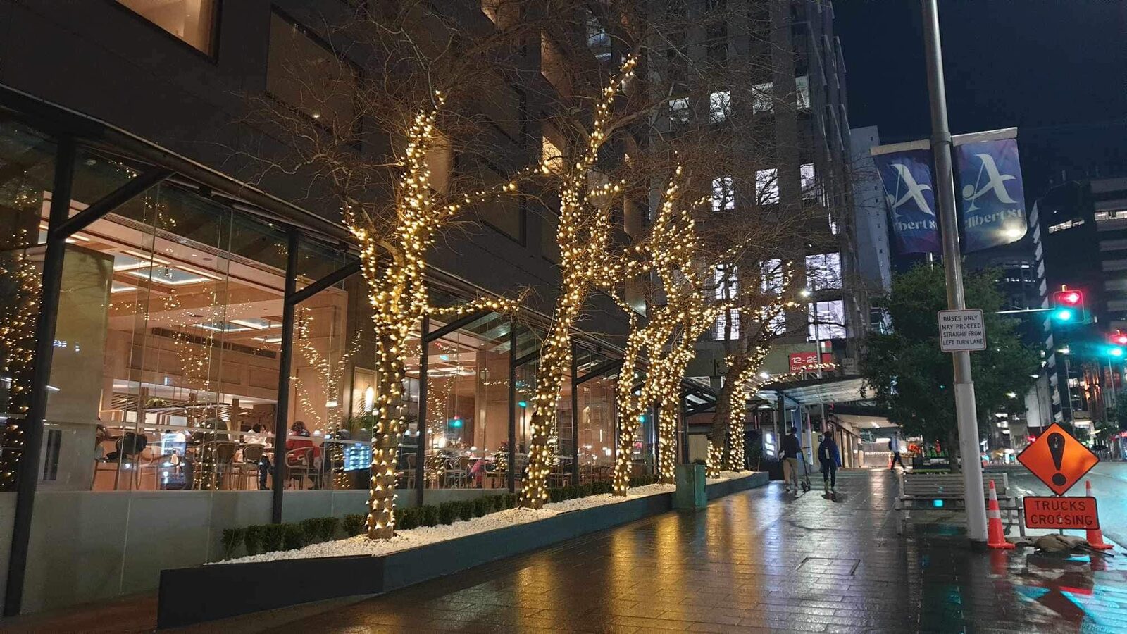 Street trees lit outside a city building