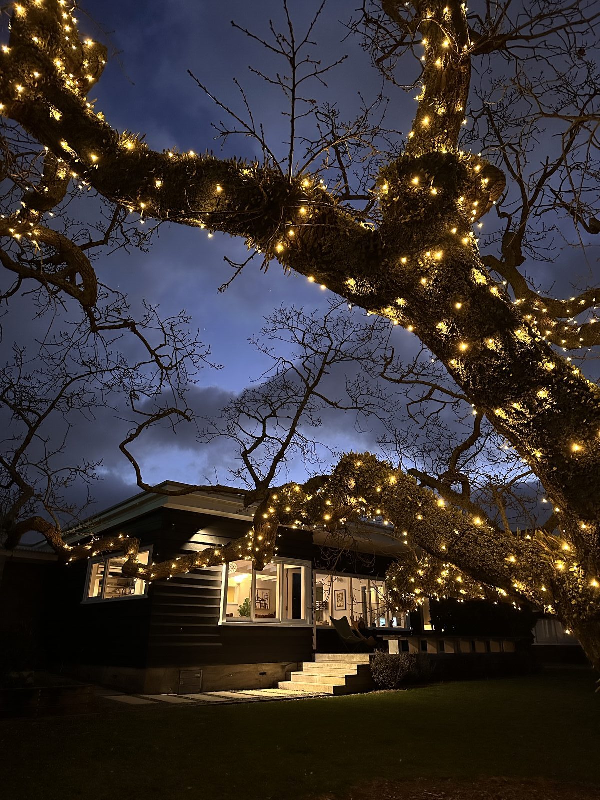 Private oak lit with warm white fairy lights