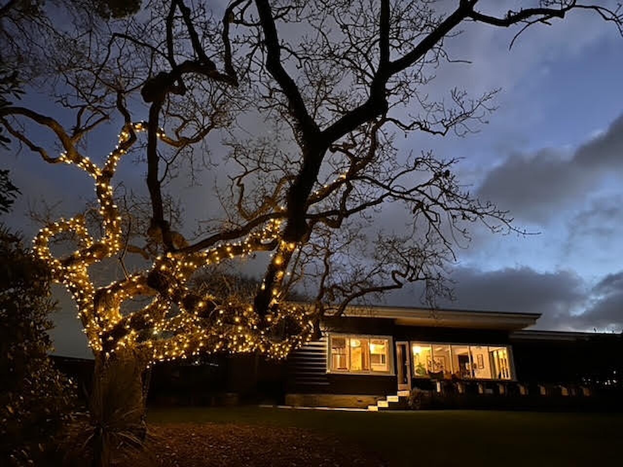 Private oak lit with warm white fairy lights
